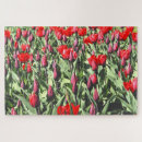 Buscar tulipanes puzzles Jardín