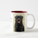 Buscar border collie tazas Animal