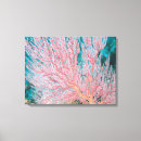 Buscar coral rojo lienzos Criaturas del sealife