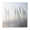 Buscar dunas azulejos Paisajes