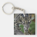 Buscar leopardo llaveros Animales salvajes