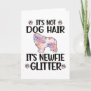 Buscar newfie tarjetas Novato