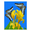 Buscar malasia posters Flores