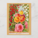 Buscar jardinero postales General y unisex