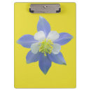 Buscar montañas rocosas libretas Colorado