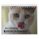 Buscar gato calendarios Lindo