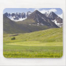 Buscar islandia alfombrillas de raton Flores