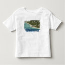 Buscar fiji island camisetas David