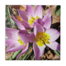 Buscar cromo azulejos Flor