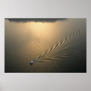 Buscar panamá posters América central