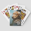 Buscar mascotas barajas de cartas Monograma