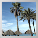 Buscar chozas posters Caribe