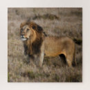 Buscar leones africanos puzzles Vida salvaje