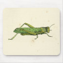 Buscar saltamontes alfombrillas de raton Verde