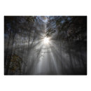 Buscar rayos de sol fotografía Naturaleza