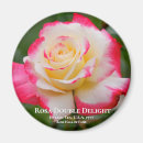 Buscar rosa doble imanes Flor