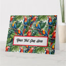 Buscar loros tarjetas Guacamayo