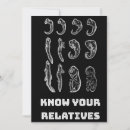 Buscar evolución tarjetas Biología