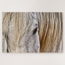 Buscar equino puzzles Semental