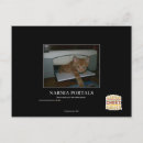 Buscar narnia postales Puedo tener cheezburger