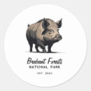 Buscar wild boar postales Naturaleza