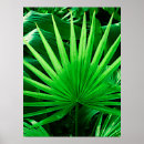 Buscar plantas tropicales posters Hojas verdes