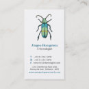 Buscar insectos tarjetas de visita Bugs