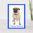 Buscar cute puppy tarjetas Cachorros