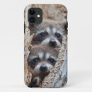 Buscar raccoon iphone fundas Mapache