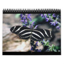 Buscar guepardos calendarios Naturaleza