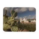 Buscar tucson imanes Paisaje