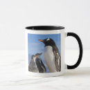 Buscar la antártida tazas Mar