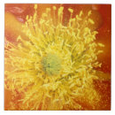 Buscar sonora azulejos Naturaleza