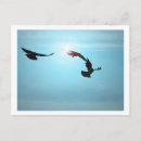 Buscar flora y fauna postales Nubes