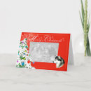 Buscar malamute de alaska tarjetas Vacaciones