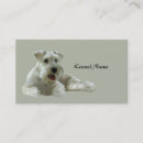 Buscar schnauzer tarjetas de visita Perro