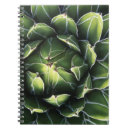 Buscar tucson cuadernos Suroeste