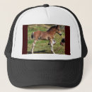 Buscar potro gorras Negro