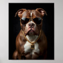 Buscar perro negro posters Perros