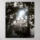 Buscar retroiluminado posters Naturaleza