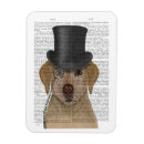 Buscar laboratorio imanes Laboratorios amarillos