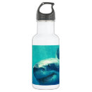 Buscar gran tiburón blanco agua botellas Marino