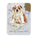 Buscar raza imanes Raza de bulto