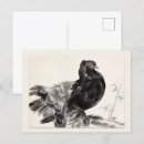 Buscar sumi e postales Para todos