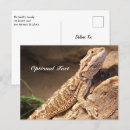 Buscar dragon postales Naturaleza