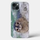 Buscar marin ipad fundas California