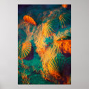 Buscar seashell posters Beach