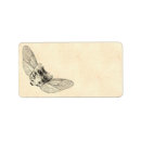 Buscar apothecary etiquetas Apotecario