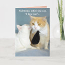 Buscar oídos tarjetas Gatito