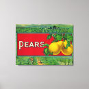 Buscar pera lienzos Producto